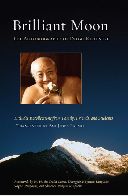 (image for) Brilliant Moon:Biography of Dilgo Khentse Rinpoche (PDF)